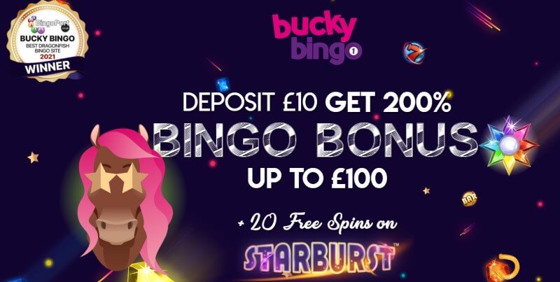 Bucky Bingo Bonus Code