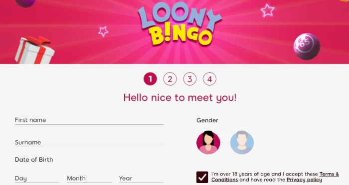 Loony Bingo Registration 