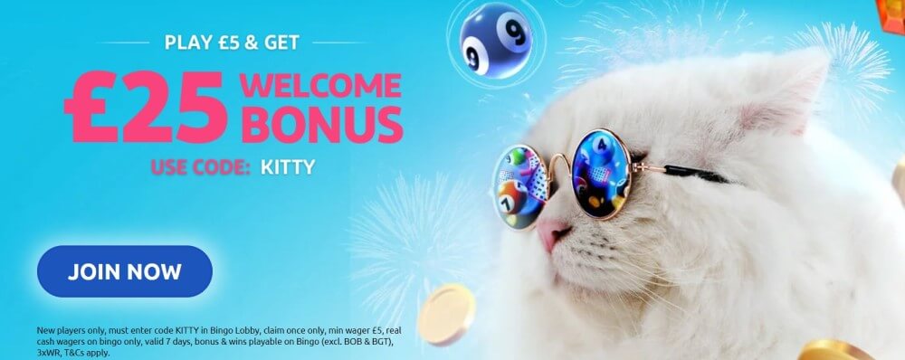 Kitty bingo welcome offer