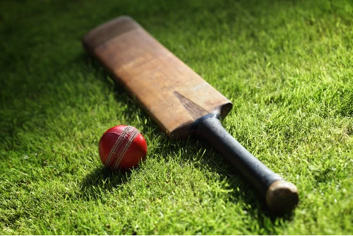 cricket betting free bets