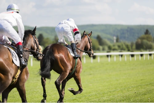 betting on horse racing in uk