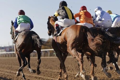 horse racing betting offers in the uk