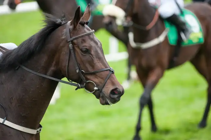 Royal Ascot Betting Offers